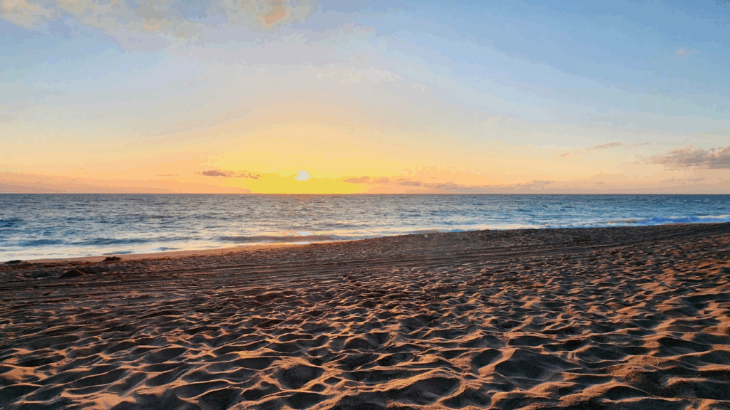 What Florida Beneficiaries Need to Know About Probate Distributions